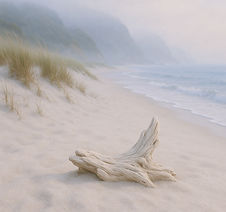 driftwood coast sea grass sand ocean cliff