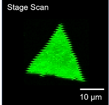 Confocal Laser Scanning (2).png
