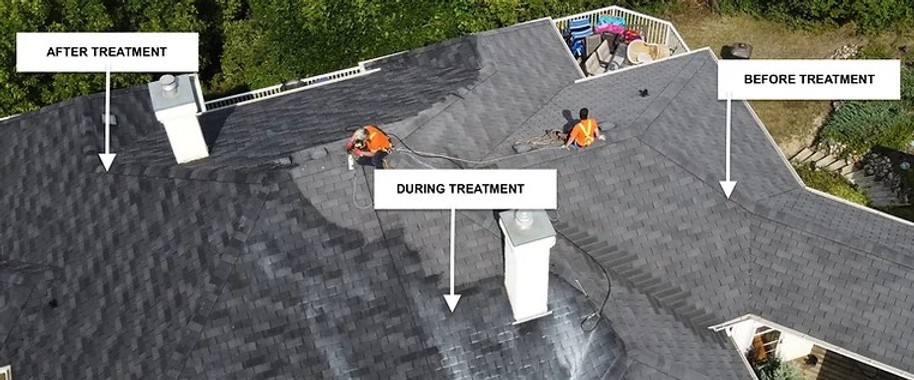 Shingled Roof Coating Contractor - Shingled Roof Painting Contractor - Shingled Roof Renew