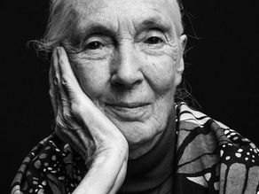 The Day the Earth Forgot How to Breathe