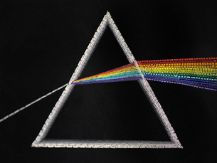 On Sonder, Consciousness, and Staying Curious