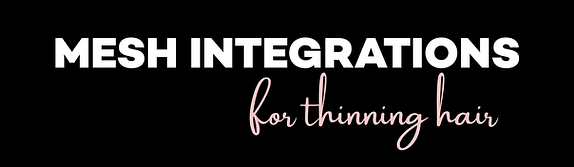 DanieLA Hair Extensions Mesh Integrations Los Angeles