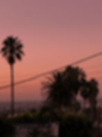 DanieLA Hair Los Angeles, CA Sunset Blvd_edited.jpg