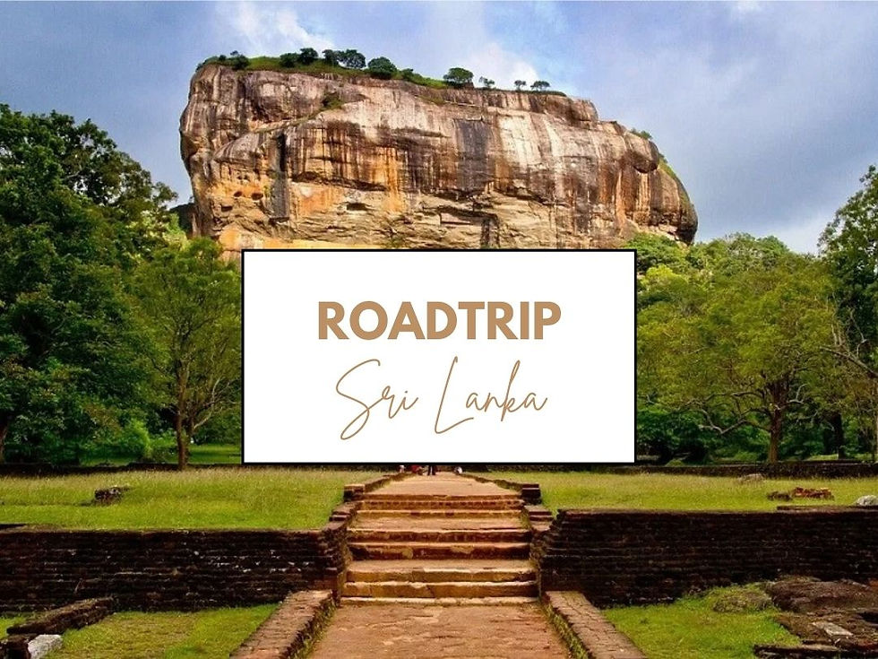 A la découverte du Sri Lanka