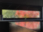 IMG_9298.jpeg