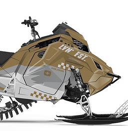 POLARIS MATRYX LVN' FST_edited.png