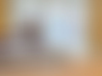 El proceso de reclamación al Seguro Social por Incapacidad: De la solicitud a la apelación federal