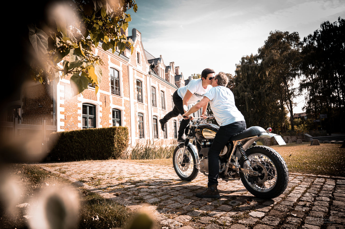 TRIUMPH3.jpg