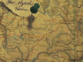 Your Rightful Home by Alyssa Knickerbocker