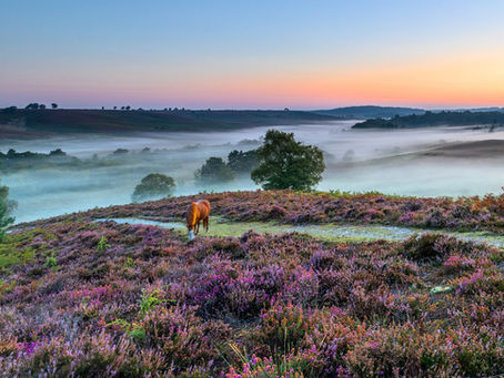 Wild Camping | Timothy Betts Photography