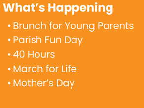 April 24th What's Happening? 