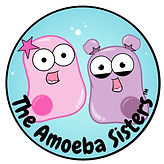 Amoeba Sisters.jpg