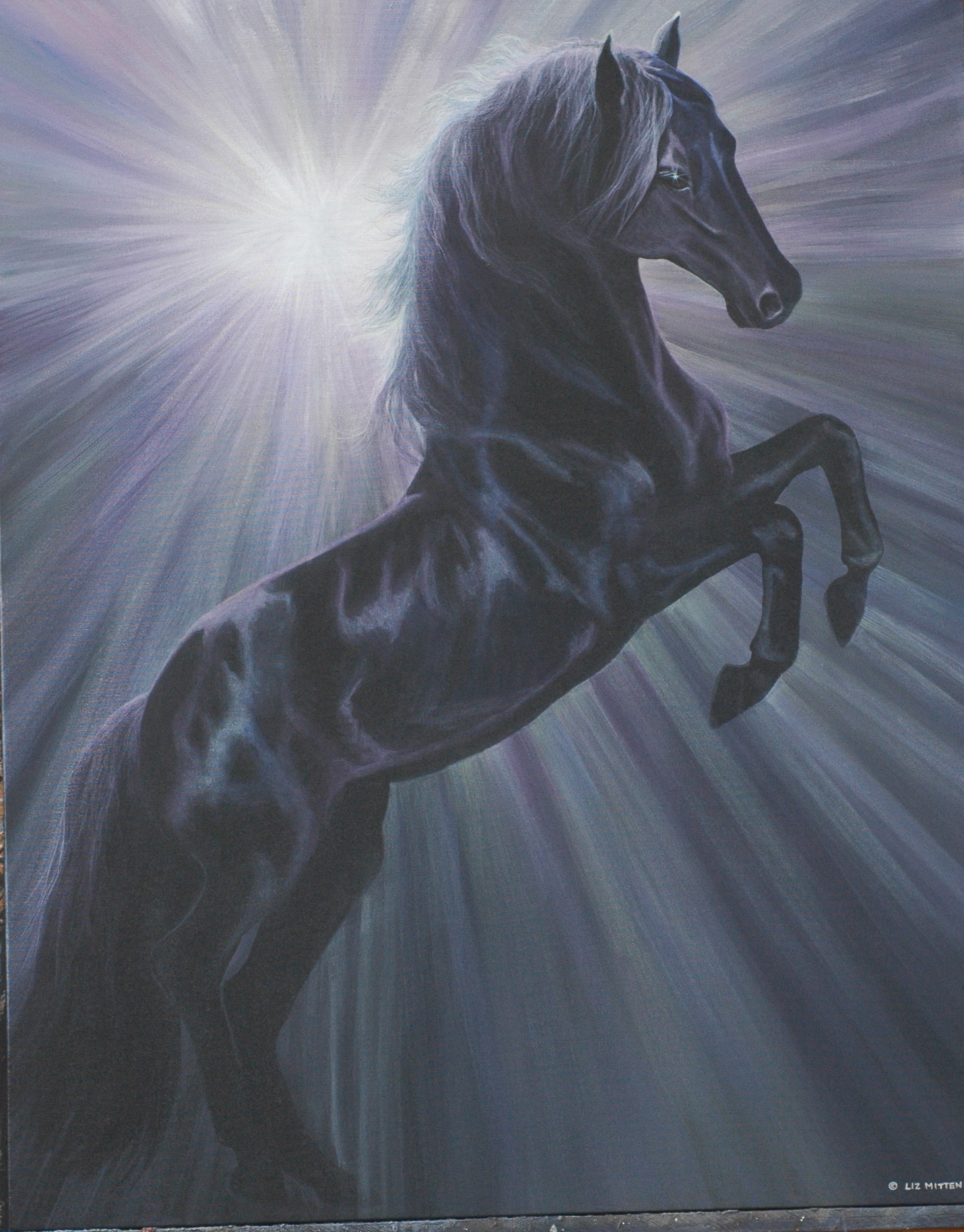 Sky Stallion