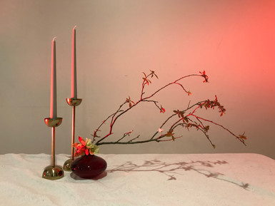 Study with light