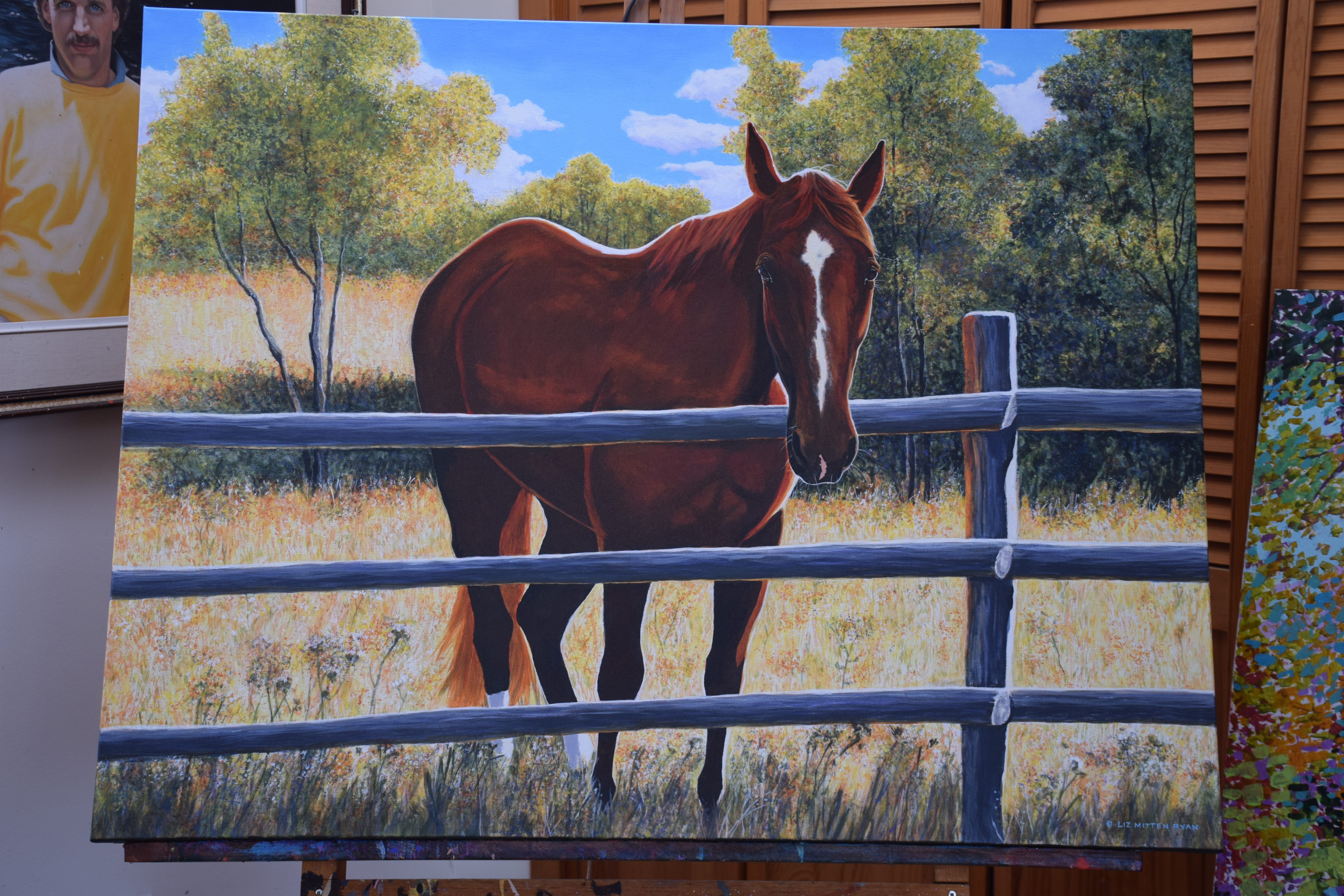 'Aussie' portrait