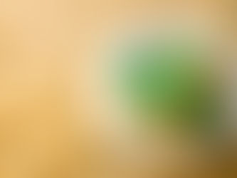 5 Wonderful Herbs To Complement Your Pasta