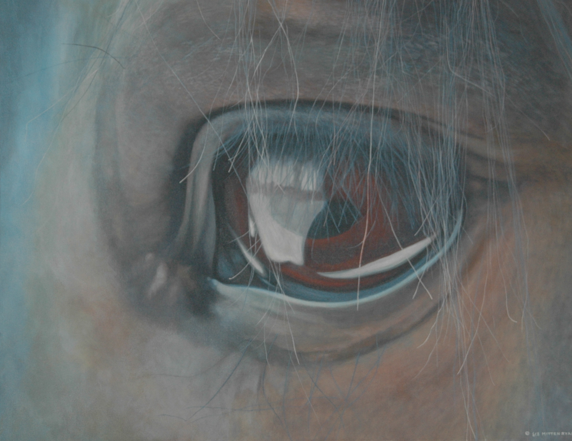 Divas' Eye