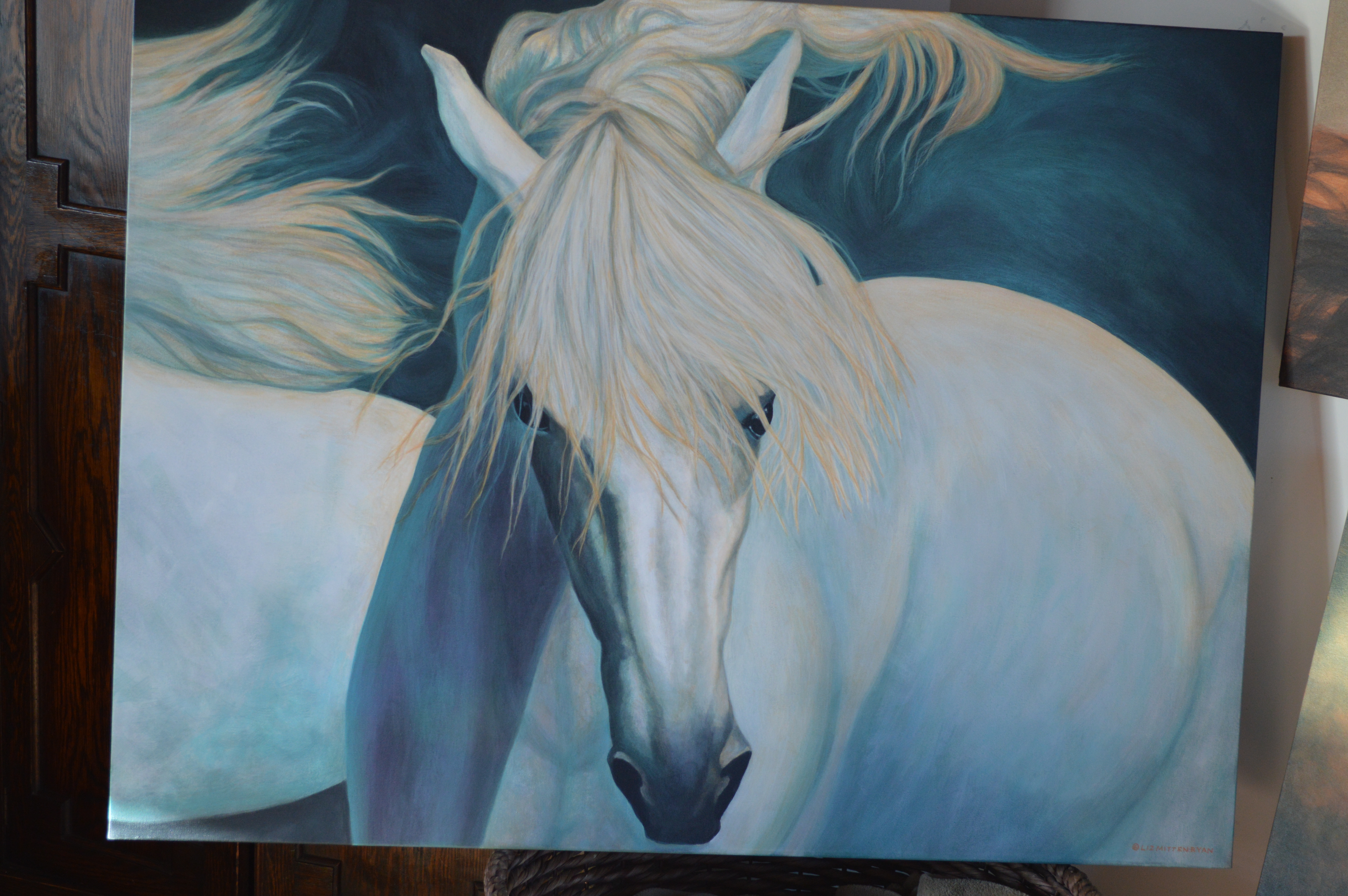 Horses Take Us... Beyond The Veil