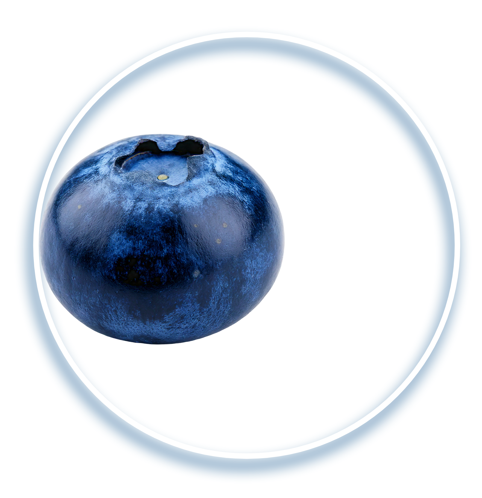 berry_edited.png
