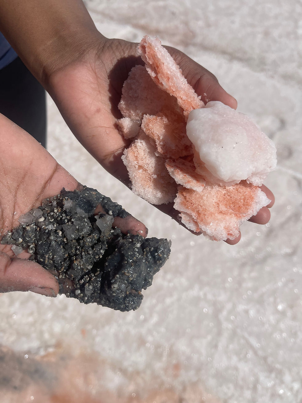 attachment (10).jpeg