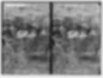 transparentimage.png