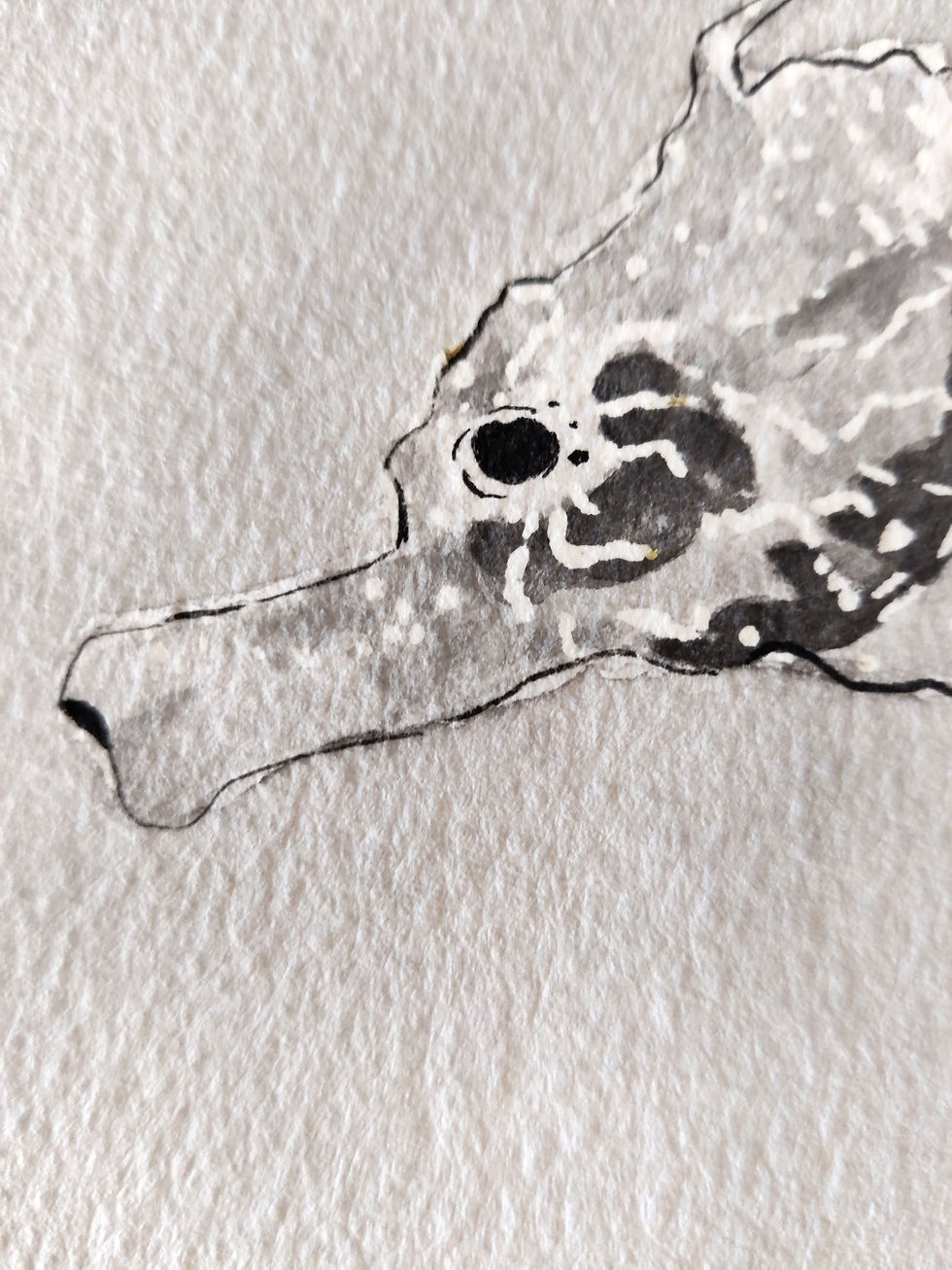 Miniatura: Caballito de mar