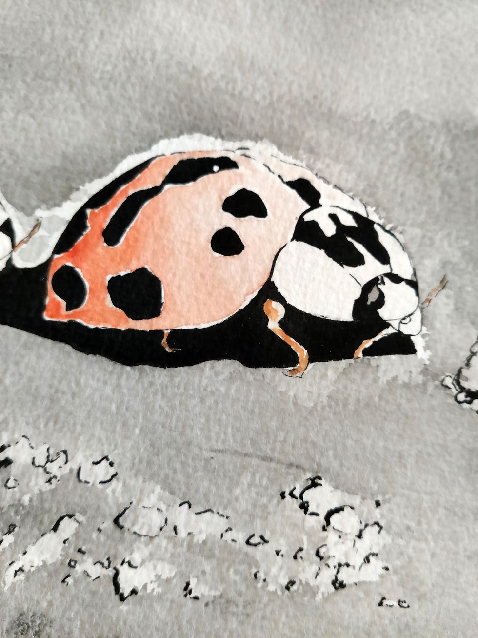 Miniatura: Mariquitas