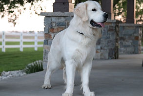 IMG_8050 - edited.jpg