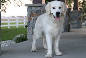 IMG_8047 - edited.jpg
