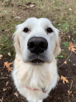 Maddy, 14 months old