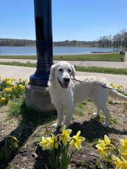 Daisy, 11 months old