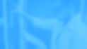 Banner chico 2.jpg