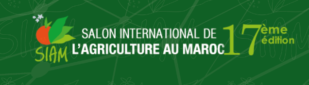 Captura de pantalla 2025-02-11 a las 12.47.03.png