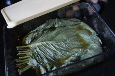 Thumbnail: 고기찍어먹고, 채소 절임간장중 니가 최고(참소스 대용량 2.1kg)