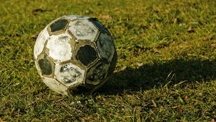 Referees are not employees
