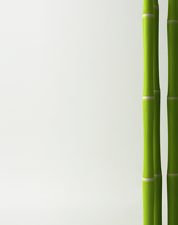 Bamboo
