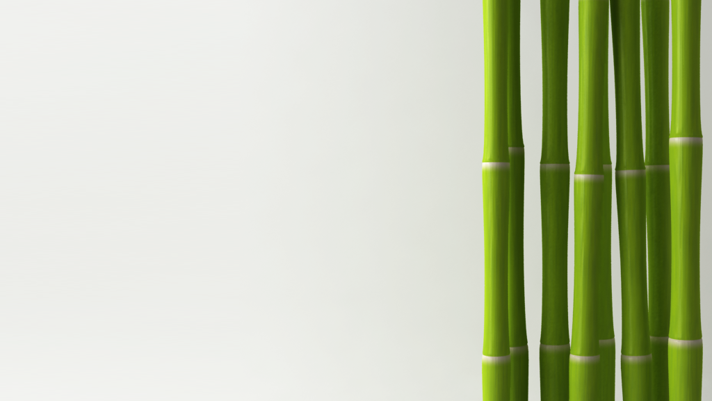 Bamboo