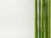 Bamboo is 100% recyclable; this makes it a very efficient and economical material and great for the environment.