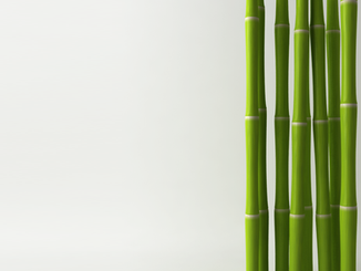 Do You Bamboo?