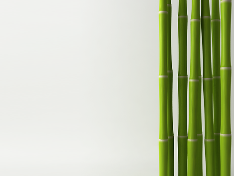 Bamboo