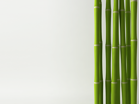 Bamboo