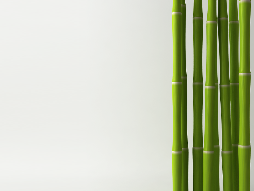 Green Bamboo Stalks