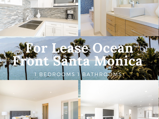 Beautiful Furnished 1 bed 1 bath on the beach of Santa Monica, For Lease   #luxury