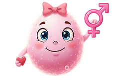 SANS FOND ZOVULE.png