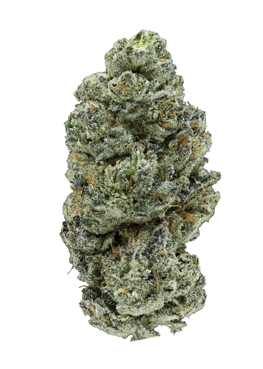 THCA GARLIC BUDDER (INDICA) 43.067% 🔥🔥🔥