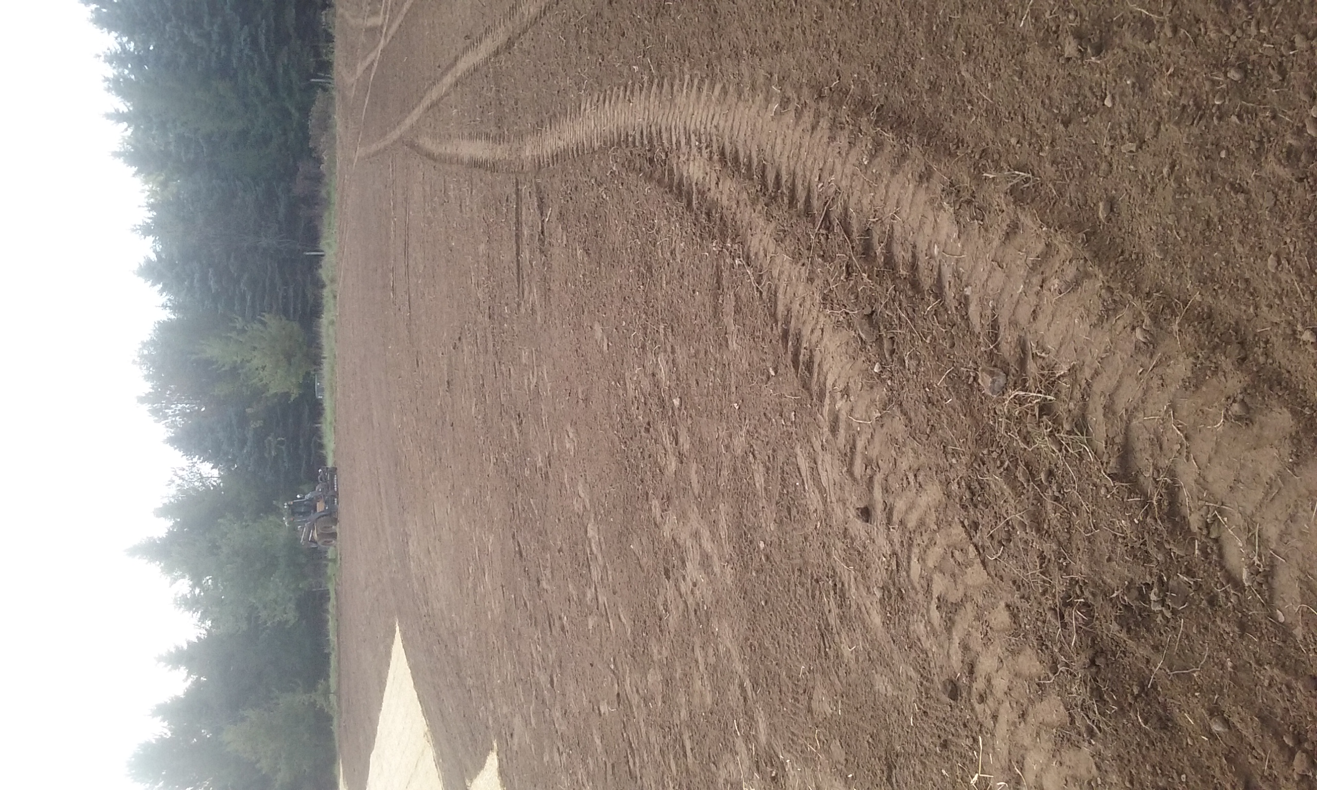 Rough Grading and Excavating give landscapes full customization