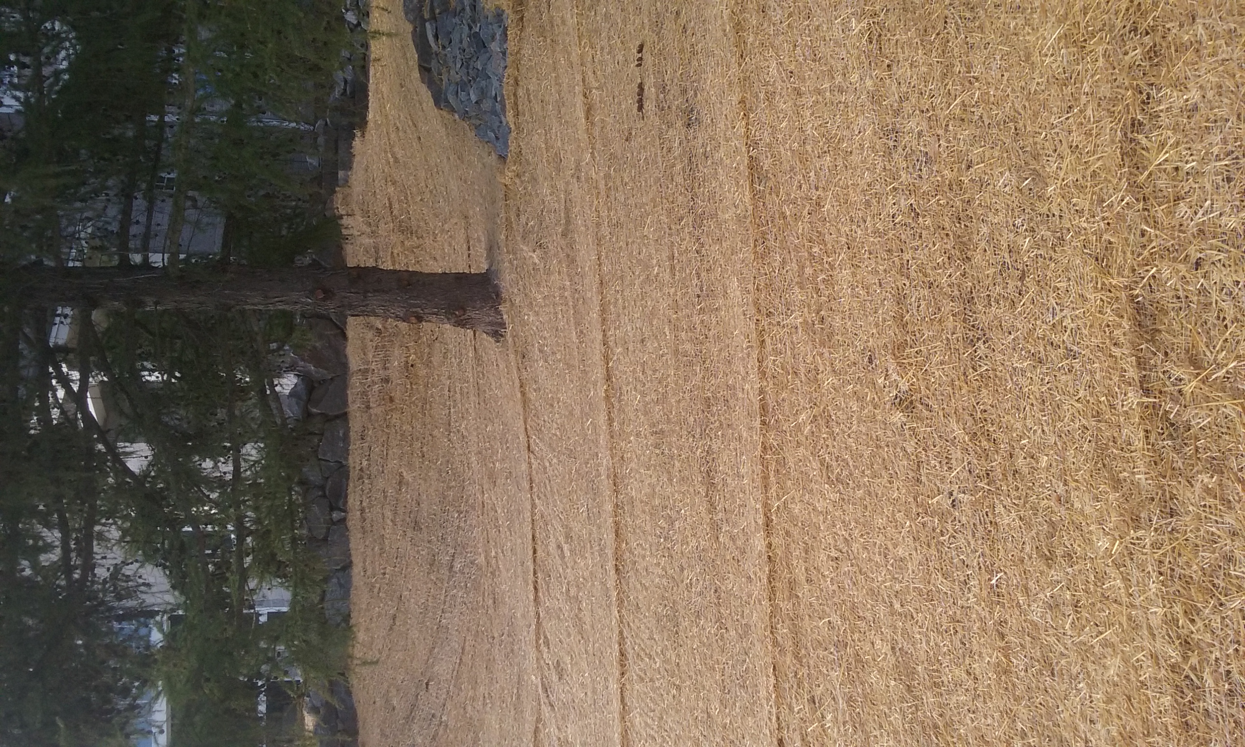 Rough Grading and Excavating give landscapes full customization