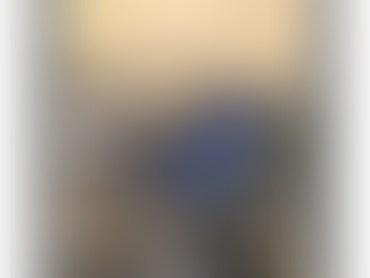 DIE SMARTEN REISEBEGLEITER. by Zogi