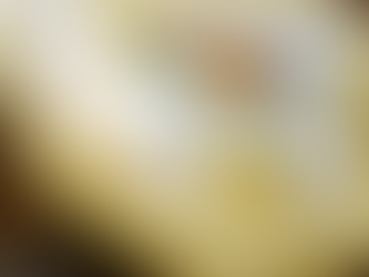 EDISON THE MINI by FATBOY