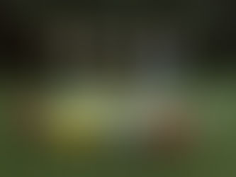 MOTIVATE THE CROWD.by Fatboy / Prêt à Pousser